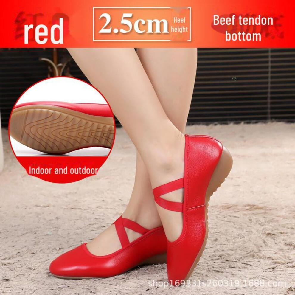 (red, 36) Women's Soft Leather Ballroom Dance Shoes - Low Heel, Flat Heel, Cowhide Sole
