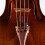 Dr. Thomastik Strings de violino (130ms4/4) 4