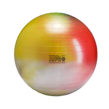 Gymnic Arte Plus Burst-Resistant Exercise Ball (65 cm)