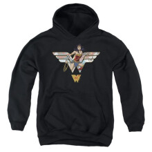 Trevco Sportswear JLA1300-YFTH-1 Wonder Woman 80th Collage Logo Youth Hooded Sweatshirt, Black - Small