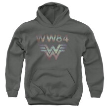 Trevco Sportswear WWM169B-YFTH-2 Wonder Woman 84 Static TV Lines Youth Hooded Sweatshirt, Charcoal - Medium