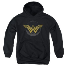 Trevco Sportswear WWM104-YFTH-2 Wonder Woman Movie Distressed Logo Youth Hooded Sweatshirt, Black - Medium