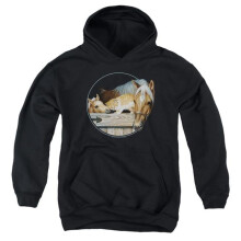 Trevco Sportswear WW436-YFTH-2 Wild Wings Everyone Loves Kitty Youth Hooded Sweatshirt, Black - Medium