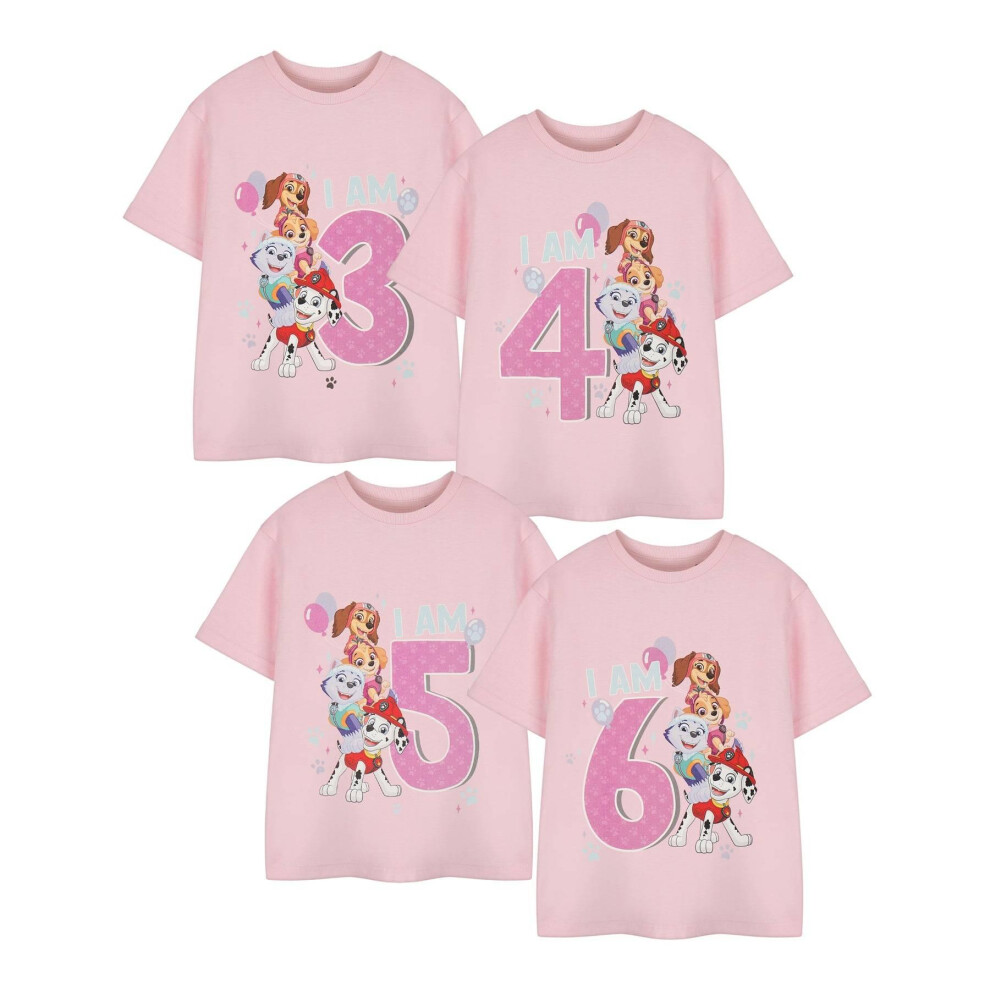 (3-4 Years, Pink) Paw Patrol Girls Short-Sleeved Birthday T-Shirt