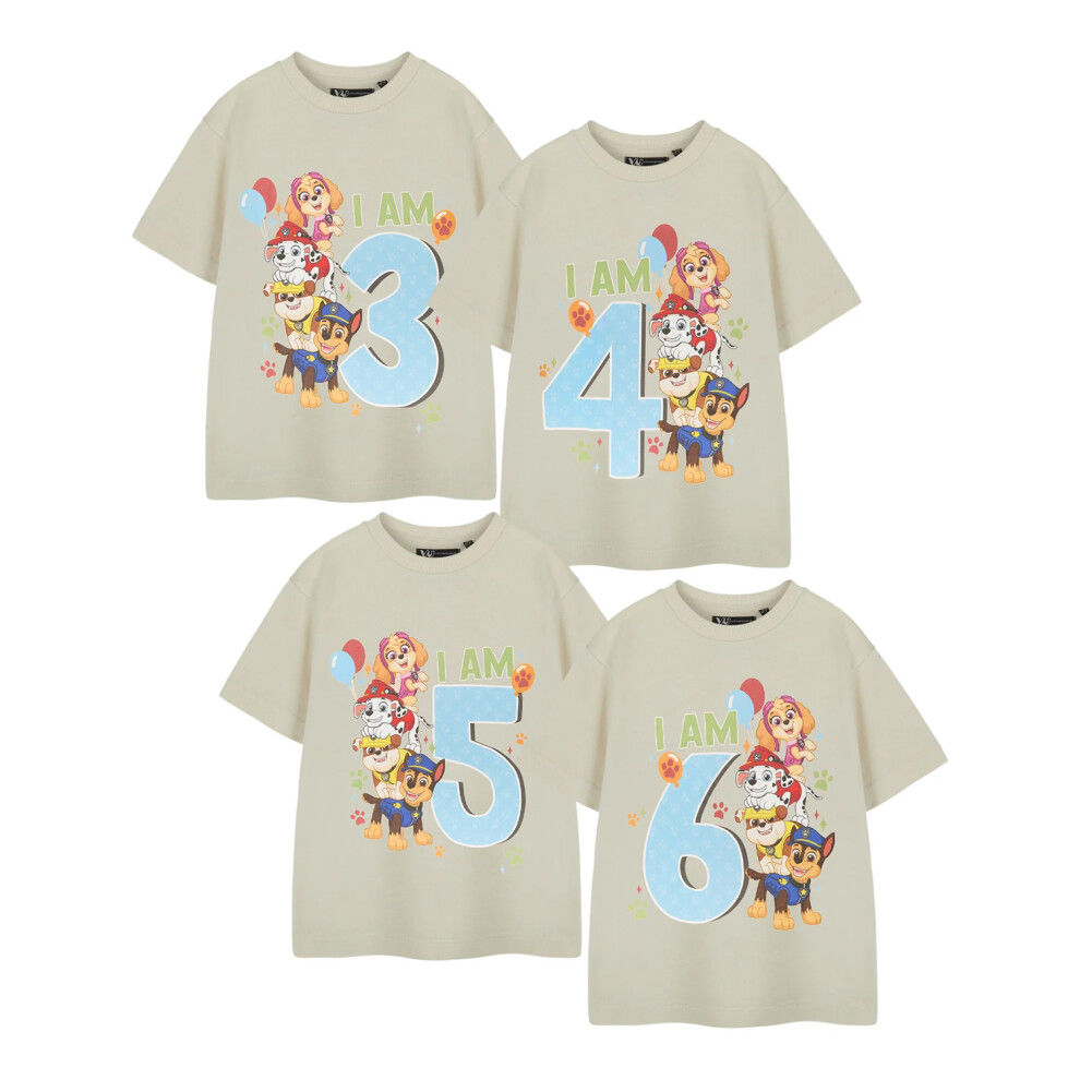 (5-6 Years, Beige) Paw Patrol Boys I Am 4 Short-Sleeved Birthday T-Shirt