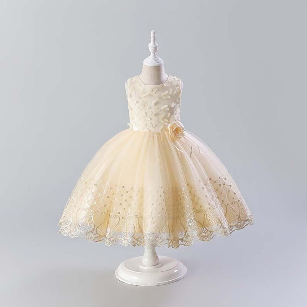 (champagne, 150 cm) "colorful Luxury Butterfly Princess Dress For Girls - Spring/summer Piano Occasion Wear