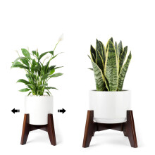 Planta Seanmi reprezinta plante interioare pentru plante de bambus Stand Stand Plant Secol La?imea reglabila ADMATA?I 8 9 10 11 12 12 inci vase -