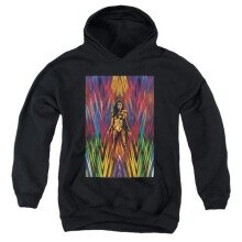 Trevco Sportswear WWM159-YFTH-2 Wonder Woman 84 & WW84 Poster Youth Hooded Sweatshirt, Black - Medium