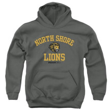 Trevco Sportswear PAR902-YFTH-1 Mean Girls North Shore Lions Youth Hooded Sweatshirt, Charcoal - Small