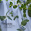 Sprig by K 2