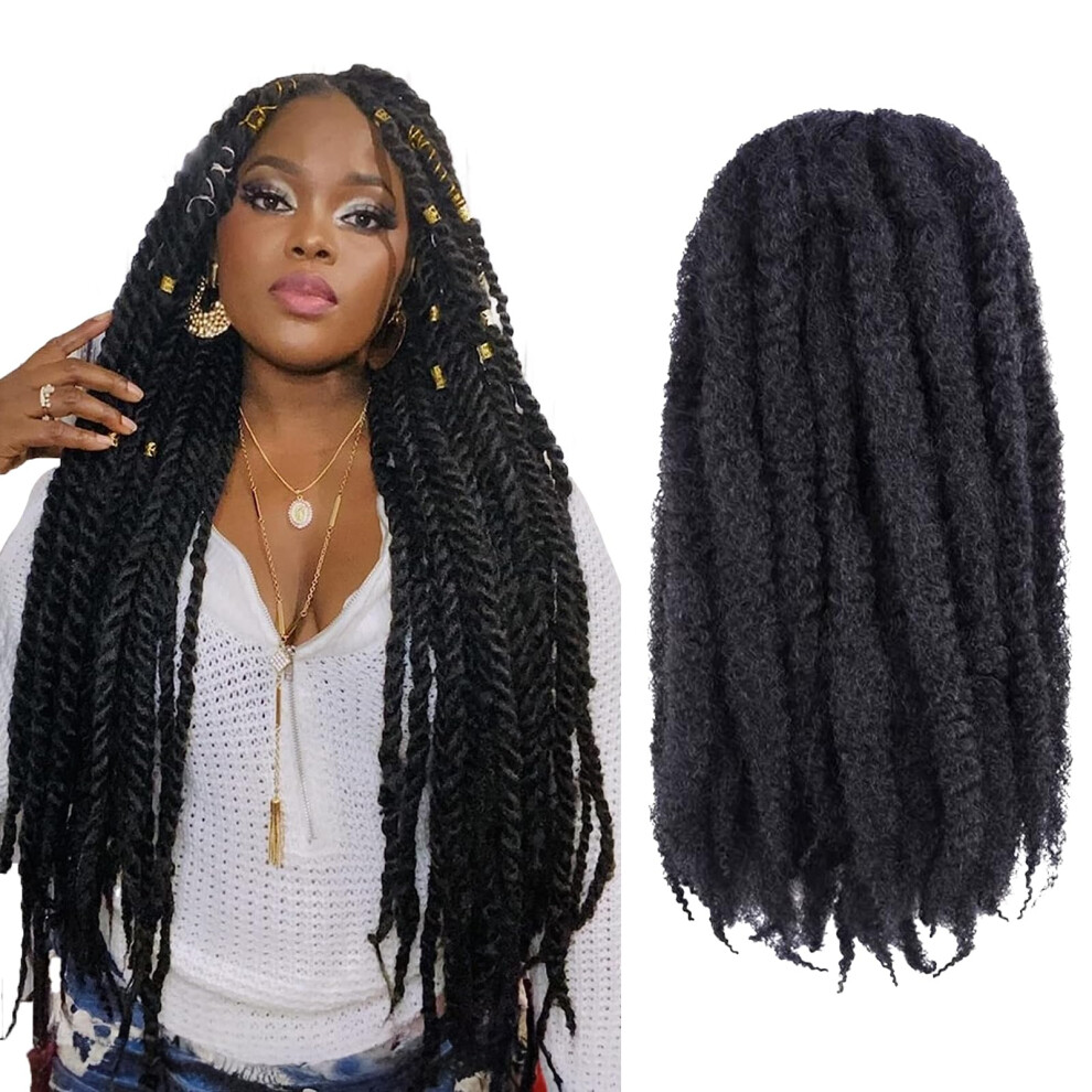 Toyotress Unisex Not,Specified (2) - 6Packs/Lot Afro Kinky Curly Marley Braids Hair Extensi