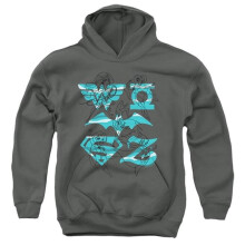 Trevco Sportswear DCSHG108-YFTH-2 DC Superhero Girls Line Art Group Youth Hooded Sweatshirt, Charcoal - Medium