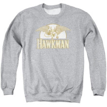 Trevco Sportswear DCO549-AS-1 DC Fly By Adult Crewneck Sweatshirt, Athletic Heather - Small