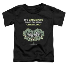 Trevco Sportswear HBRO682-KT-1 Dungeons & Dragons Dangerous To Go Alone Toddler Short Sleeve T-Shirt, Black - Large 4T