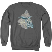 Trevco Sportswear DCO186-AS-5 DC Batgirl Biker Adult Crewneck Sweatshirt, Charcoal - 2X