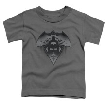 Trevco Sportswear BVS193-KT-1 Batman vs Superman Fear Toddler Short Sleeve T-Shirt, Charcoal - Large 4T