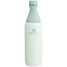 Stanley All Day Slim Bottle 20 OZ Twist off Lid with Leakproof Seal Slim Design for Travel Gym Insulated Stainless Steel