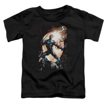 Trevco Sportswear BM2801-KT-1 Batman Nightwing Against Owls Toddler Short Sleeve T-Shirt, Black - Large 4T