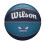 Wilson WILSON NBA Μπάλα Tribute - Μέγεθος 7 - 29.5", Charlotte Hornets 1