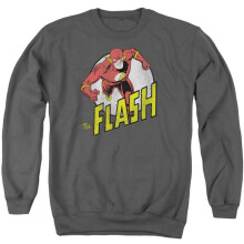 Trevco Sportswear DCO177-AS-3 DC Flash Run Flash Run Adult Crewneck Sweatshirt, Charcoal - Large