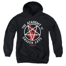 Trevco Sportswear WBT793-YFTH-2 Chilling Adventures of Sabrina Academy of Unseen Arts Youth Hooded Sweatshirt, Black - Medium