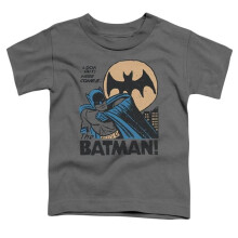 Trevco Sportswear DCO755C-TT-3 DC Look Out Toddler Short Sleeve T-Shirt, Charcoal - Large 4T