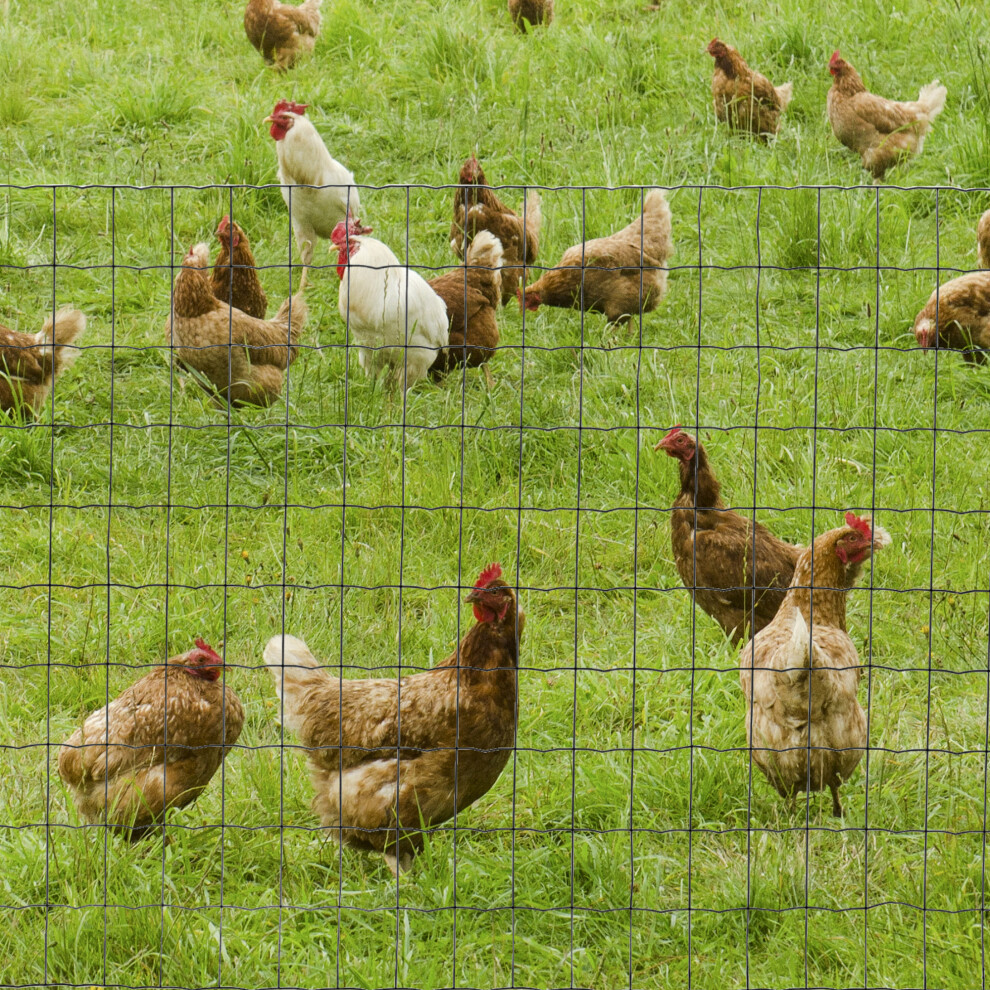 PawHut 1Mx10M Chicken Wire Mesh Rabbit Poultry Animal Fence PVC Coated Netting