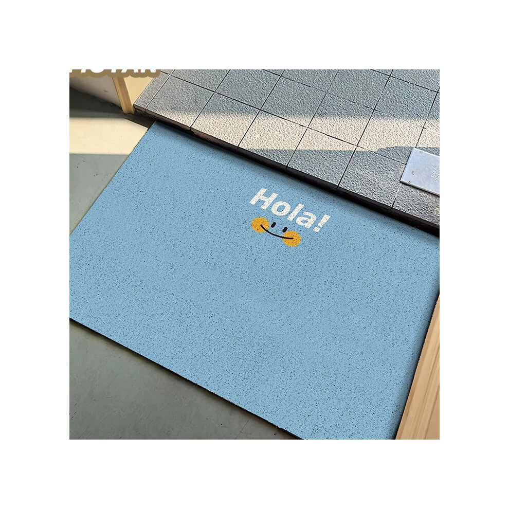 (Hola Blue Ocean, 100X120cm39.3X47.2in) Simple solid color door mat, dirt resistant foot mat for entrance foyer, dust removal for entrance door floor