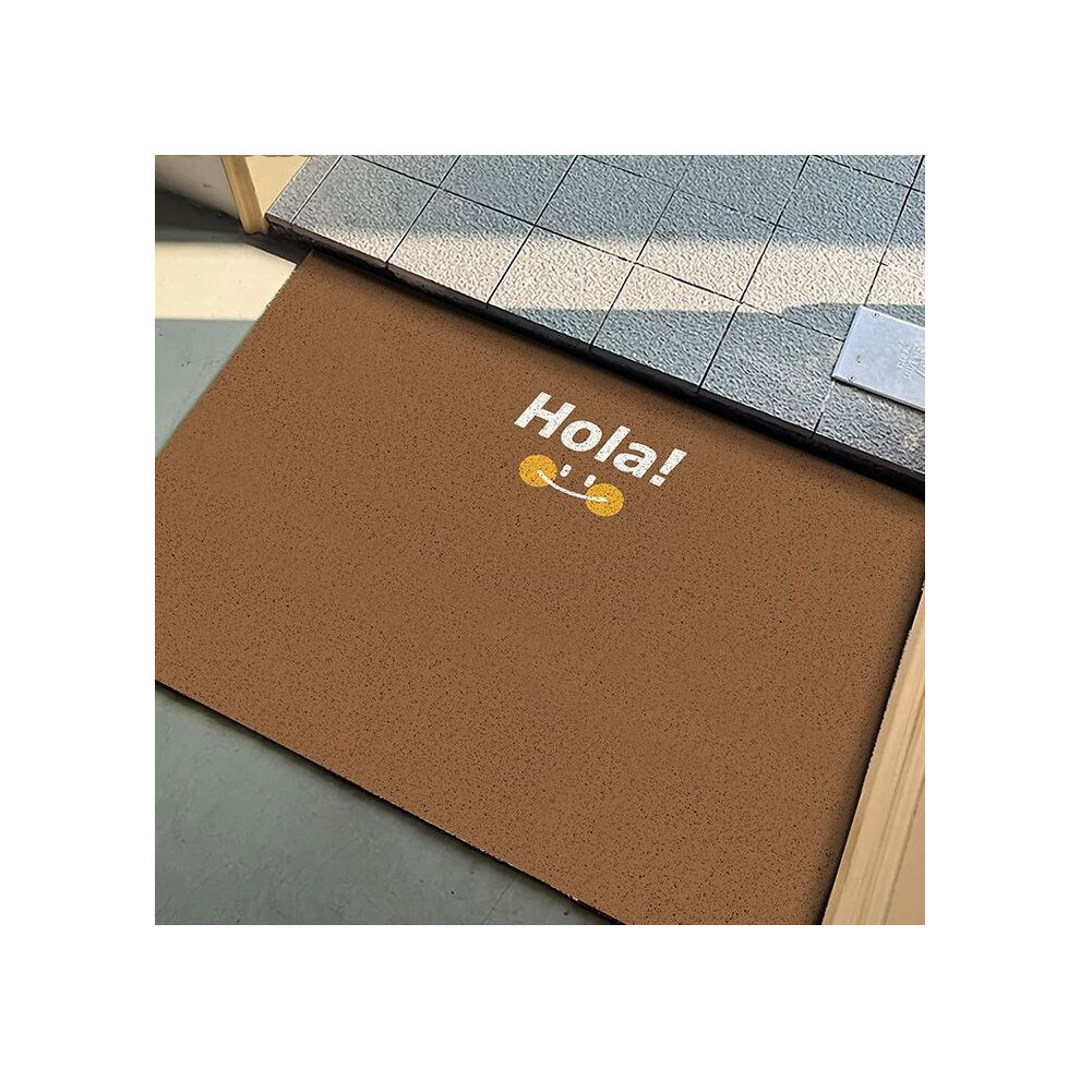(Hola brown fruit, 80X120cm 31.5X47.3in) Simple solid color door mat, dirt resistant foot mat for entrance foyer, dust removal for entrance door floor