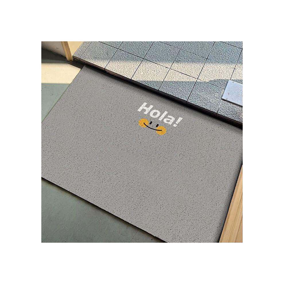 (Hola gray season, 50X80cm 19.7X31.5in ) Simple solid color door mat, dirt resistant foot mat for entrance foyer, dust removal for entrance door floor