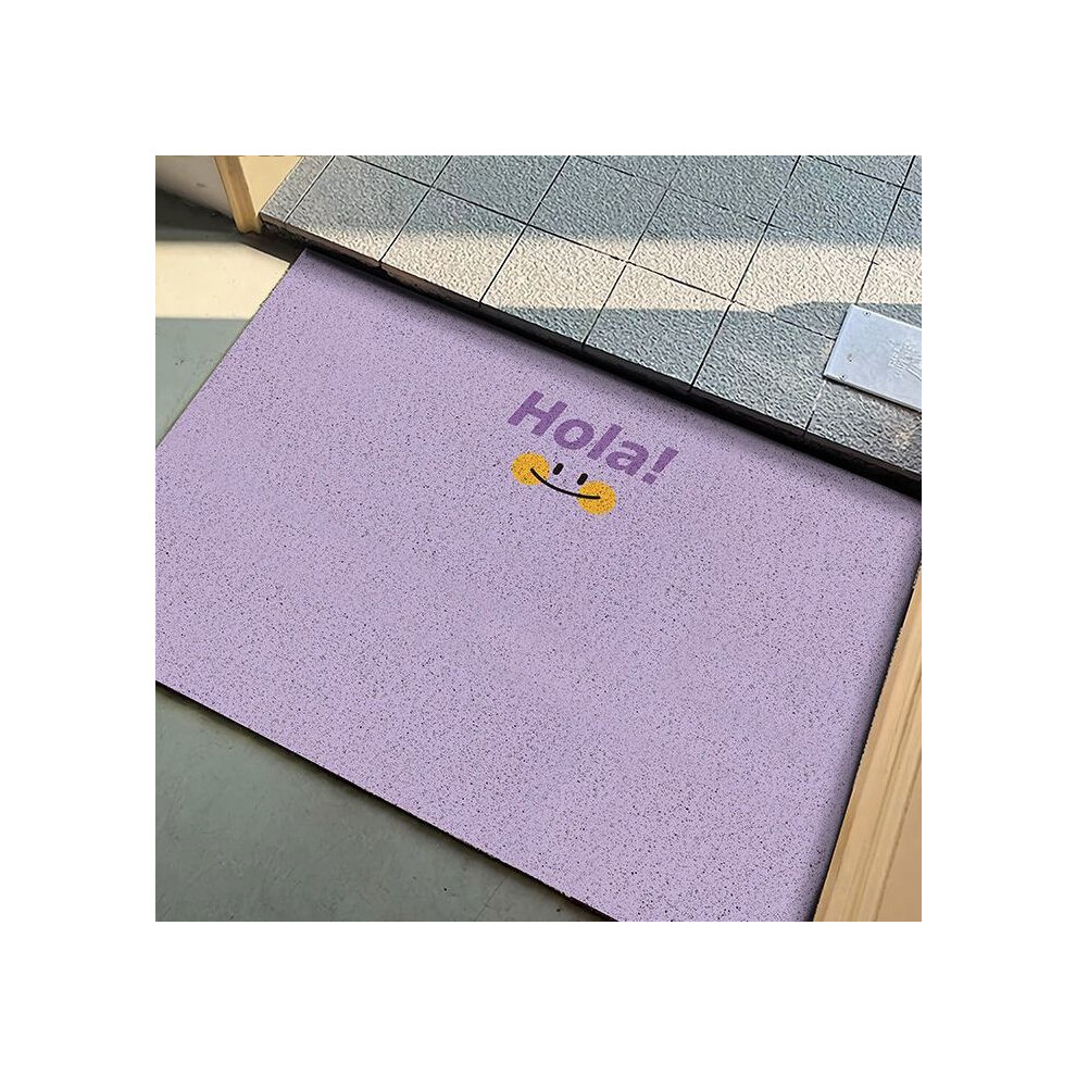 (Hola purple rhyme, 80X100cm 31.5X39.3in) Simple solid color door mat, dirt resistant foot mat for entrance foyer, dust removal for entrance door floo