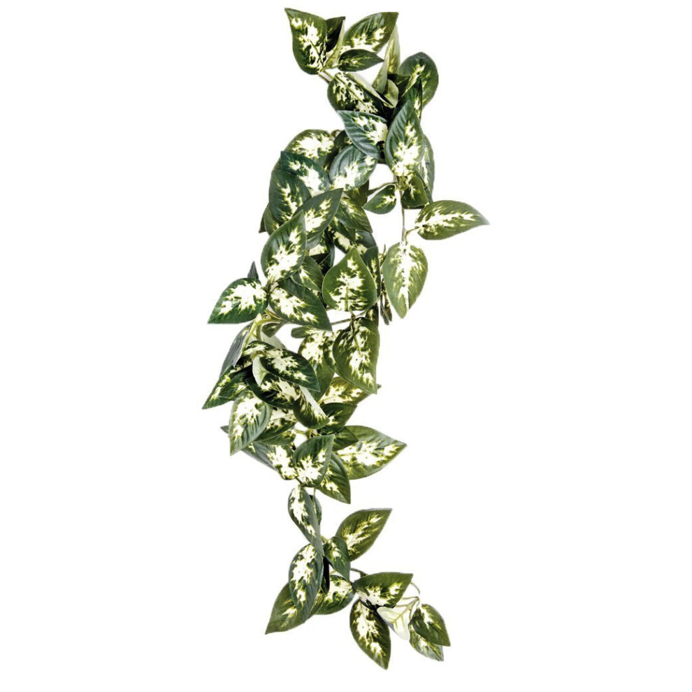 Borneo Hanging Vine, 40 cm