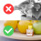 Fruit Fly Trap - 12 pack - Highly Effective Ecological Fruit Fly Traps Indoor - Environmentally Responsible Fruit Fly Killer - User Friendly - Up to 3 9