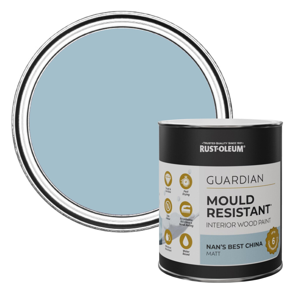 Blue Guardian Mould Resistant Interior Wood Paint In Matt Finish - Nan's Best China 750Ml 5013296875103