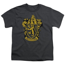 Trevco Sportswear HP8037C-KT-2 Harry Potter Gryffindor Crest Youth Short Sleeve T-Shirt, Charcoal - Extra Small