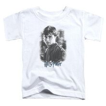Trevco Sportswear HP8058-KT-1 Harry Potter Harry in the Woods Toddler Short Sleeve T-Shirt, White - Large 4T