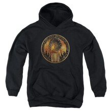Trevco Sportswear WB212-YFTH-2 Fantastic Beasts Magical Congress Crest Youth Hooded Sweatshirt, Black - Medium
