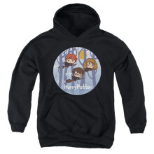 Trevco Sportswear HP8398-YFTH-2 Harry Potter Chibi Trio Flying On Broomsticks Youth Hooded Sweatshirt, Black - Medium