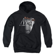 Trevco Sportswear HP8001-YFTH-3 Harry Potter Nowhere Is Safe Youth Hooded Sweatshirt, Black - Large
