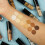LA COLORS Ultimate Cover Concealer Neutral CC908 5