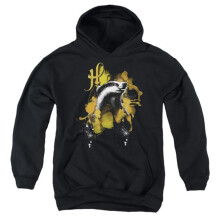 Trevco Sportswear HP8450-YFTH-3 Harry Potter Urban Elegance Hufflepuff Decalr Youth Hooded Sweatshirt, Black - Large