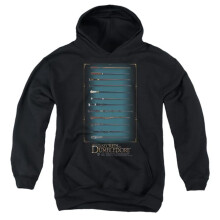 Trevco Sportswear WB341-YFTH-4 Fantastic Beasts The Secrets of Dumbledore Wands Youth Hooded Sweatshirt, Black - Extra Large