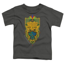 Trevco Sportswear WB340-TT-1 Fantastic Beasts The Secrets of Dumbledore Brazil Ministry Flag Toddler Short Sleeve T-Shirt, Charcoal - Small 2T