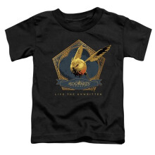 Trevco Sportswear HP10012-TT-1 Hogwarts Legacy Golden Snidget Toddler Short Sleeve T-Shirt, Black - Small 2T
