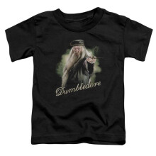 Trevco Sportswear HP6006-KT-1 Harry Potter Dumbledore Wand Toddler Short Sleeve T-Shirt, Black - Large 4T
