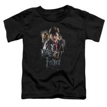 Trevco Sportswear HP7002-KT-1 Harry Potter Deathly Hollows Cast Toddler Short Sleeve T-Shirt, Black - Large 4T