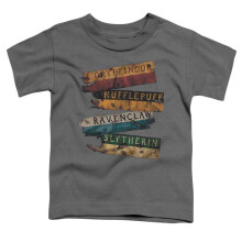Trevco Sportswear HP8002-KT-1 Harry Potter Burnt Banners Toddler Short Sleeve T-Shirt, Charcoal - Large 4T