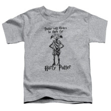 Trevco Sportswear HP8053B-KT-1 Harry Potter Always Be There Toddler Short Sleeve T-Shirt, Athletic Heather - Large 4T