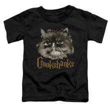 Trevco Sportswear HP8068-KT-1 Harry Potter Crookshanks Toddler Short Sleeve T-Shirt, Black - Large 4T