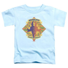 Trevco Sportswear HP8086-KT-1 Harry Potter Wizard Wheezes Toddler Short Sleeve T-Shirt, Light Blue - Large 4T